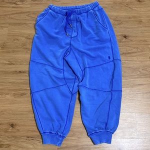 Free People Oversized Joggers with Drawstring (L/XL)